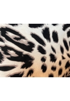 Kép 2/2 - taffi női szett, vadmacska, nadrág, felső, kényelmes, puha anyag, molett, xxl